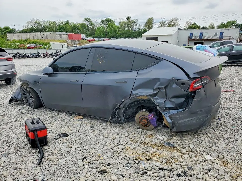 2020 TESLA MODEL Y   