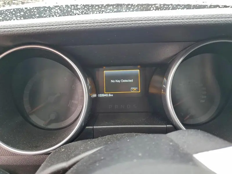 2019 FORD MUSTANG GT  