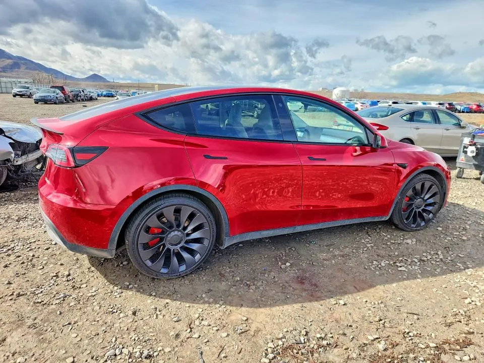 2023 TESLA MODEL Y   