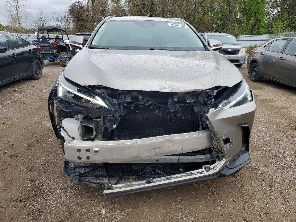 2023 LEXUS NX 250  
