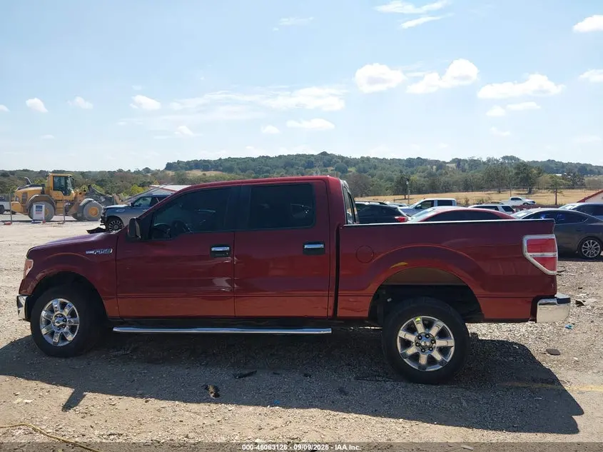 2014 FORD F-150 XLT