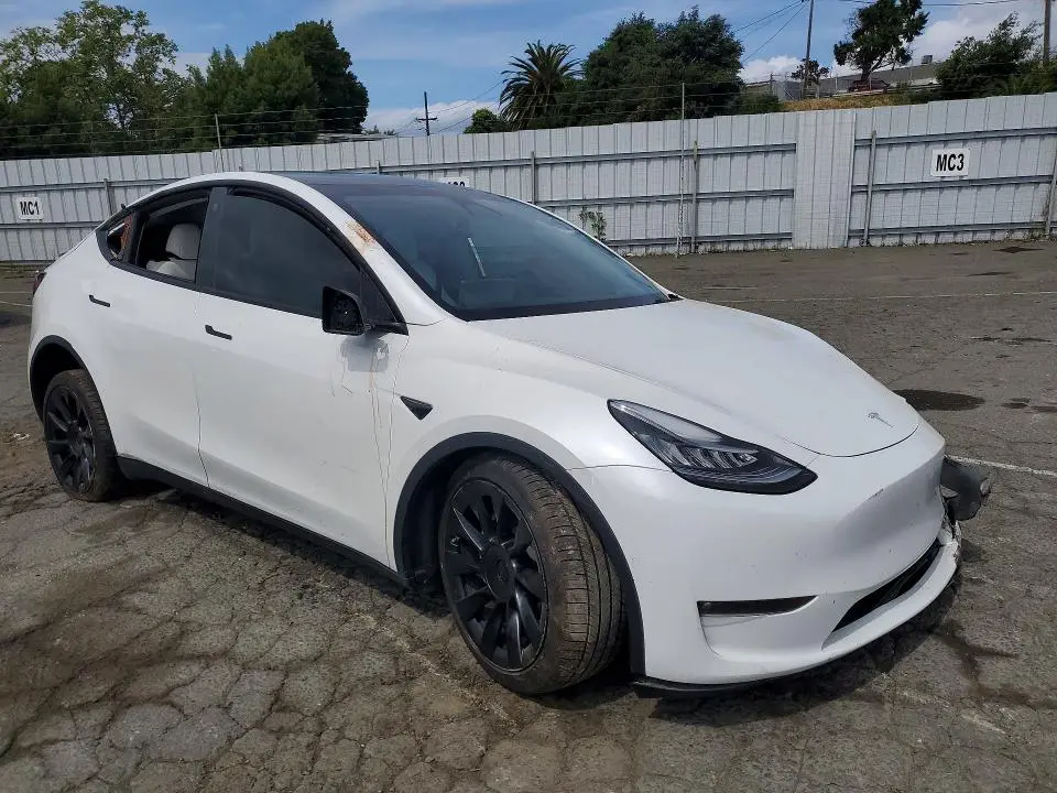 2021 TESLA MODEL Y   
