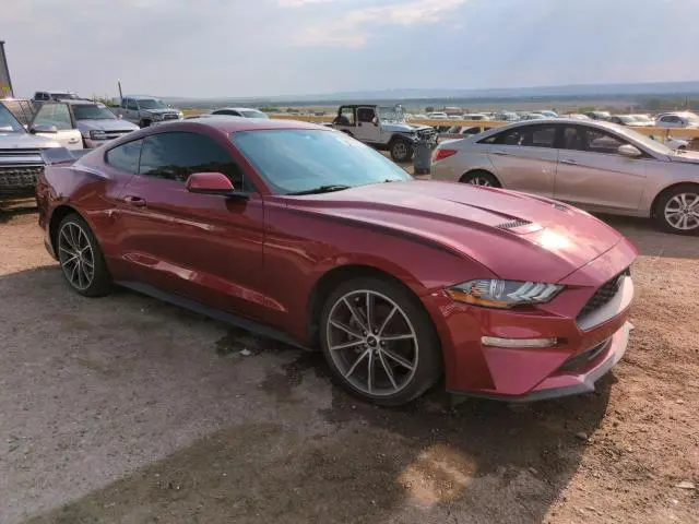 2019 FORD MUSTANG   
