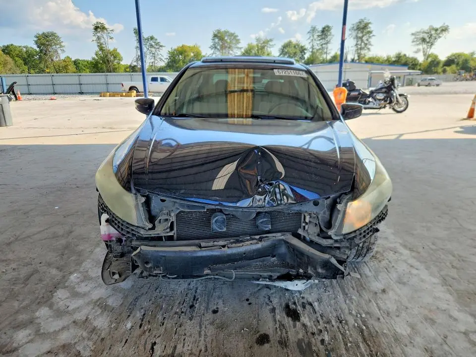 2010 HONDA ACCORD EX  