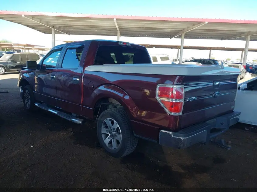 2010 FORD F-150 FX2 SPORT/HARLEY-DAVIDSON/KING RANCH/LARIAT/PLATINUM/XL/XLT