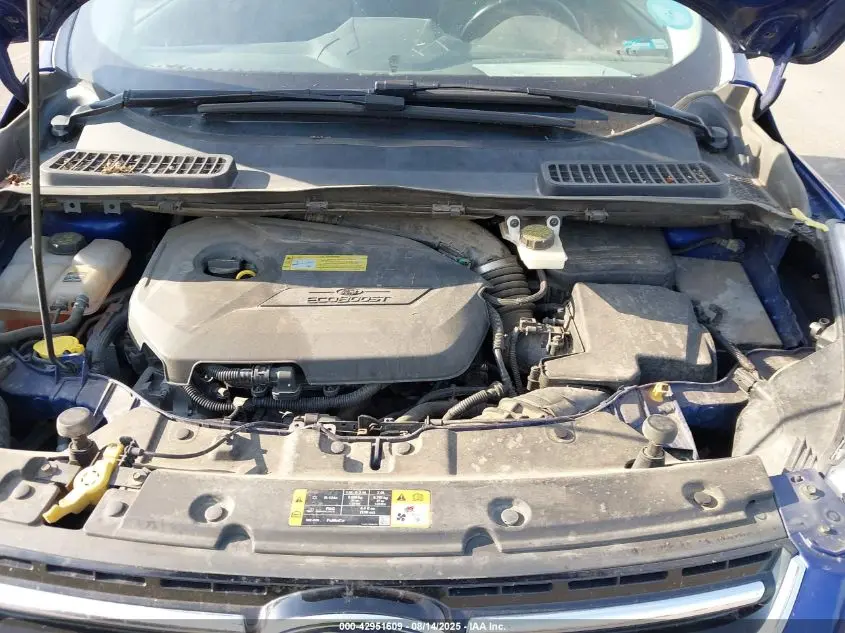 2013 FORD ESCAPE SEL