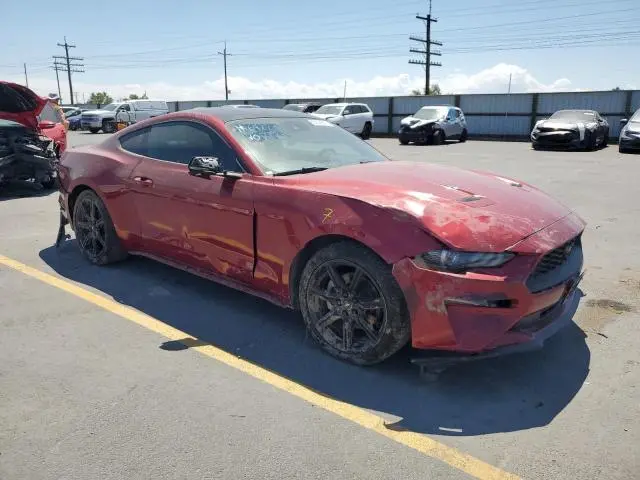 2019 FORD MUSTANG   