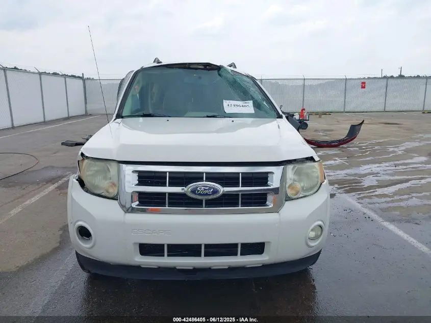 2010 FORD ESCAPE XLT