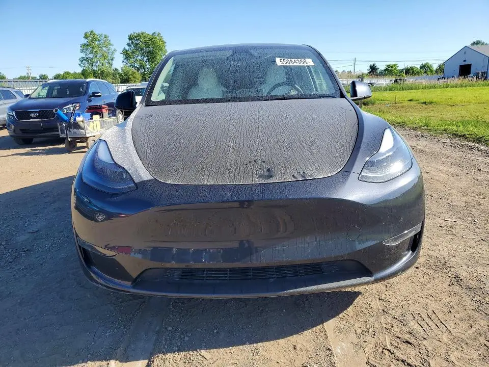 2025 TESLA MODEL Y   