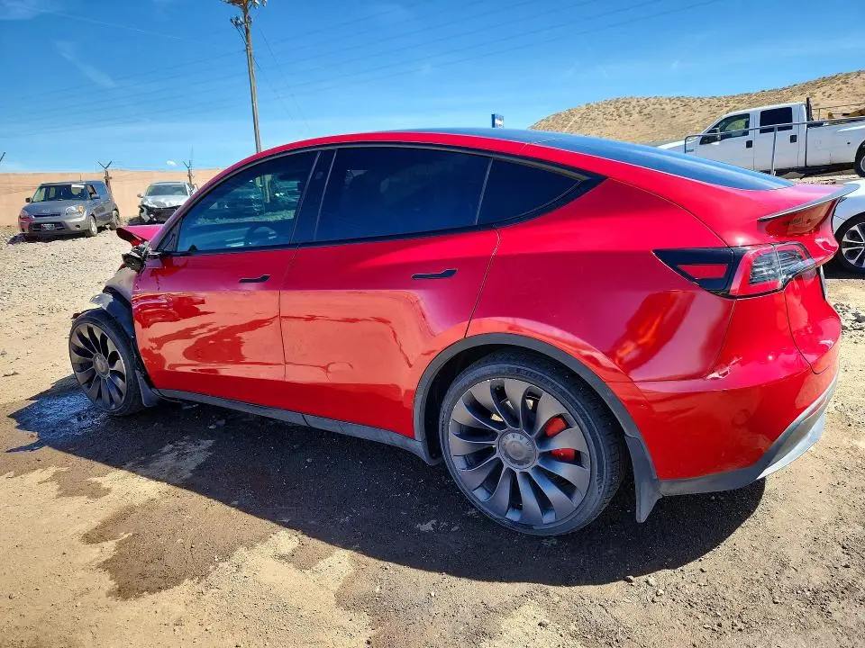 2023 TESLA MODEL Y   