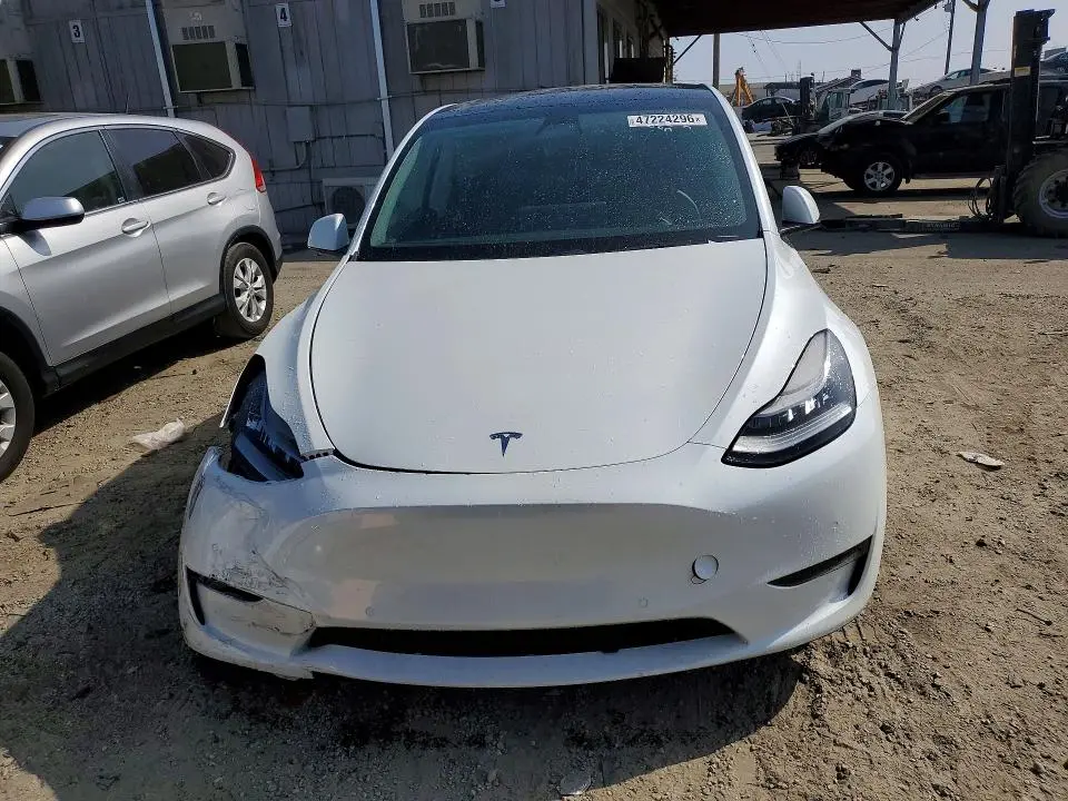 2020 TESLA MODEL Y   