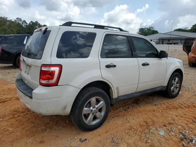 2010 FORD ESCAPE XLT