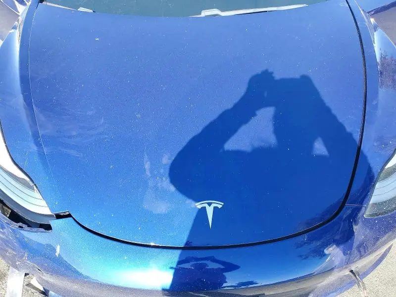 2019 TESLA MODEL 3   