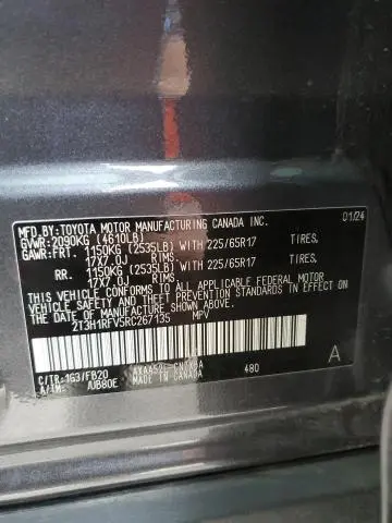 2024 TOYOTA RAV4 LE