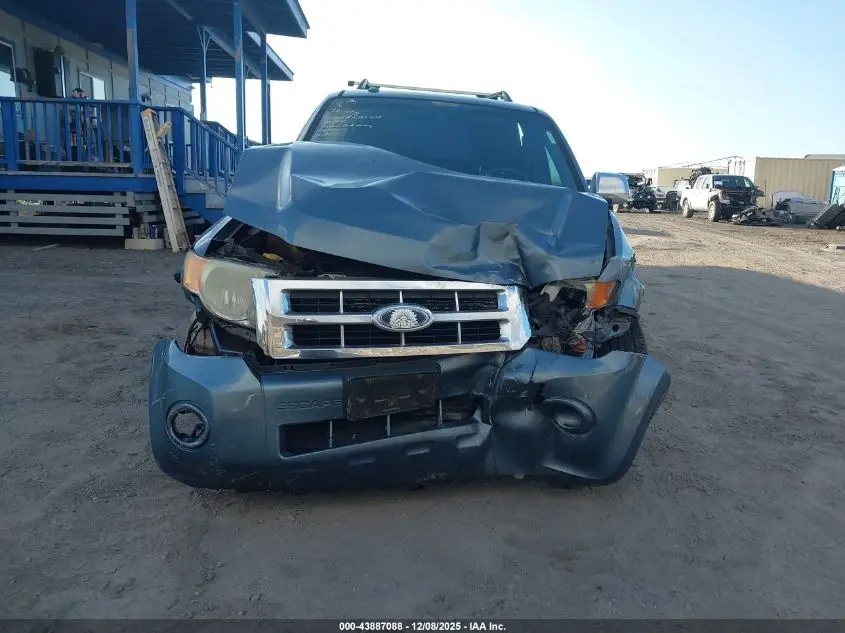 2011 FORD ESCAPE XLT