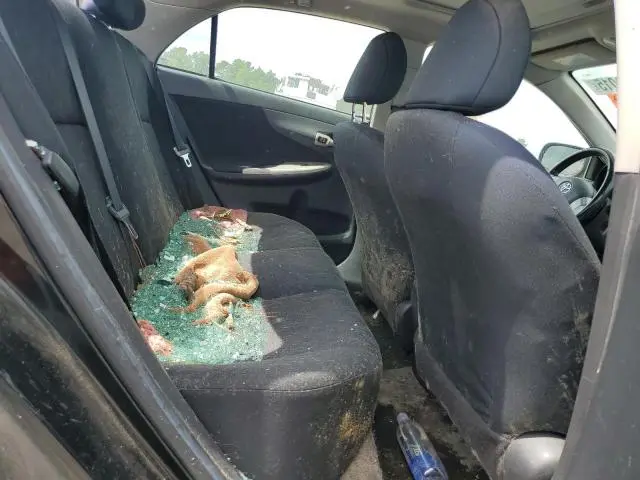 2010 TOYOTA COROLLA BASE  