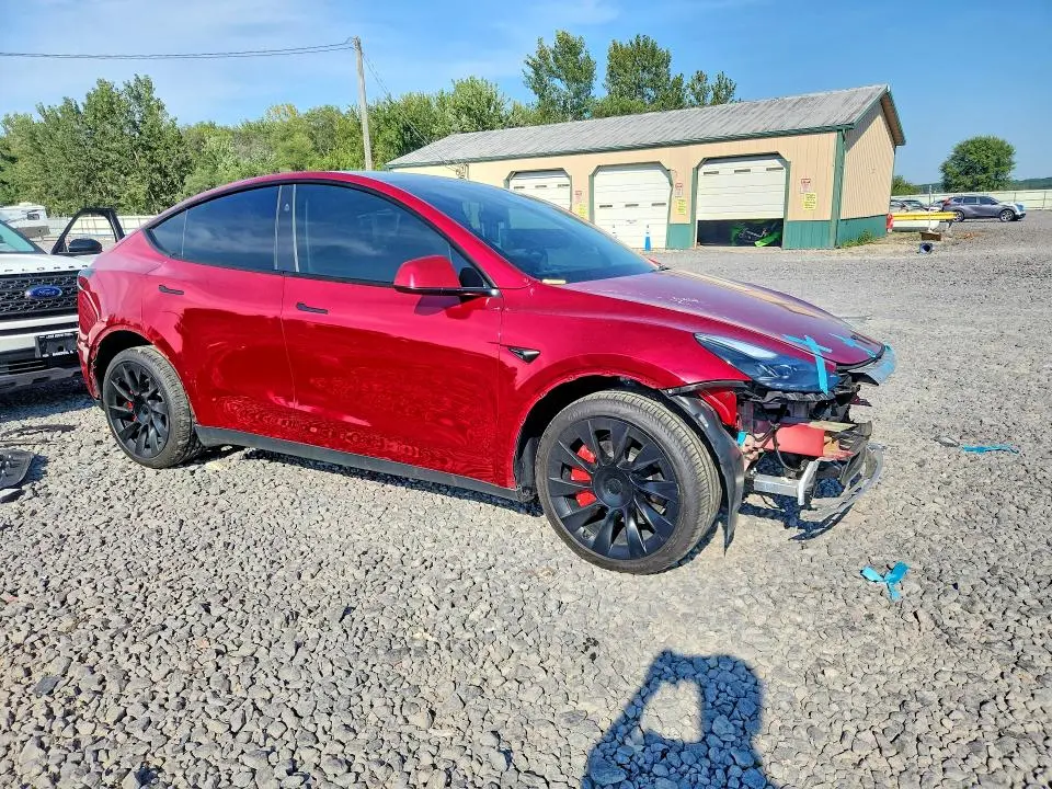 2025 TESLA MODEL Y   