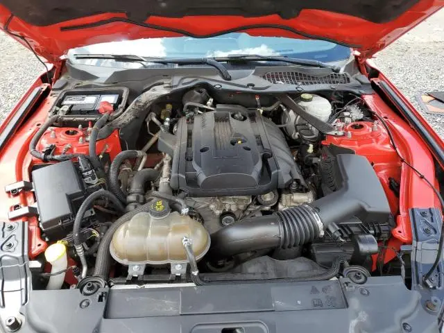 2019 FORD MUSTANG   