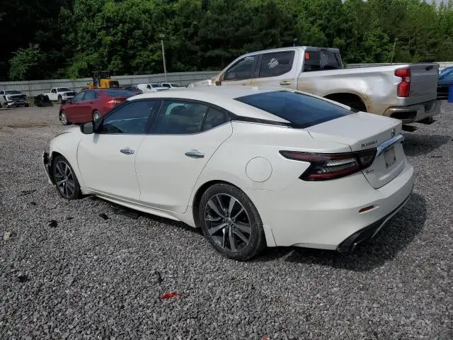 2019 NISSAN MAXIMA S  