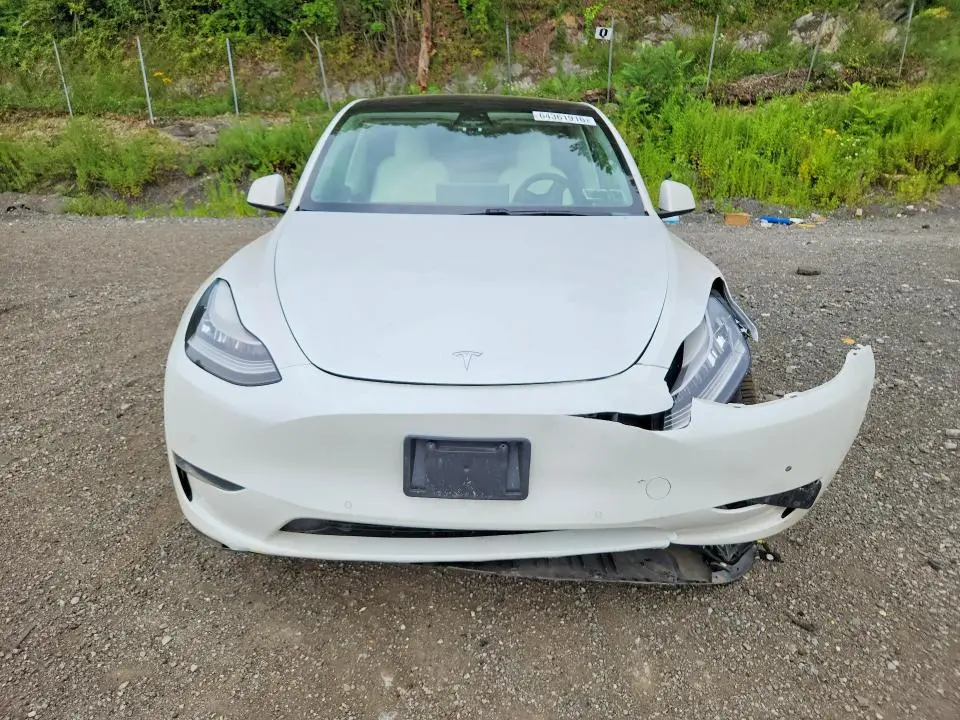 2021 TESLA MODEL Y   
