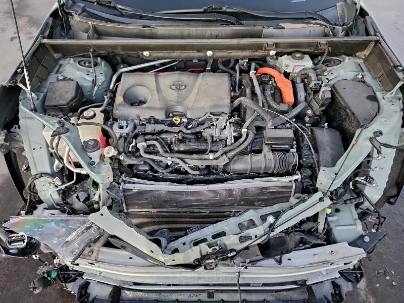 2019 TOYOTA RAV4 XLE  