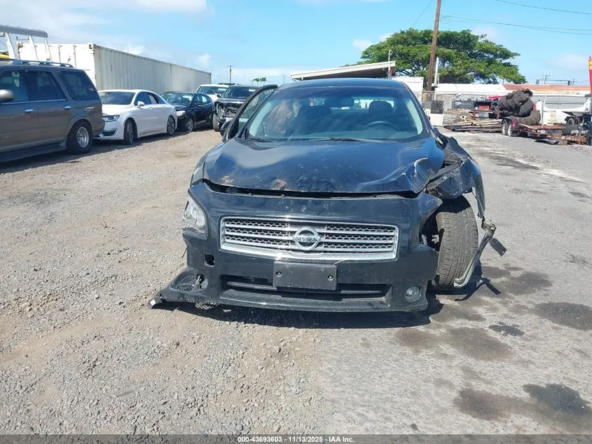 2010 NISSAN MAXIMA 3.5 SV