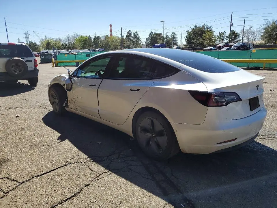 2019 TESLA MODEL 3   