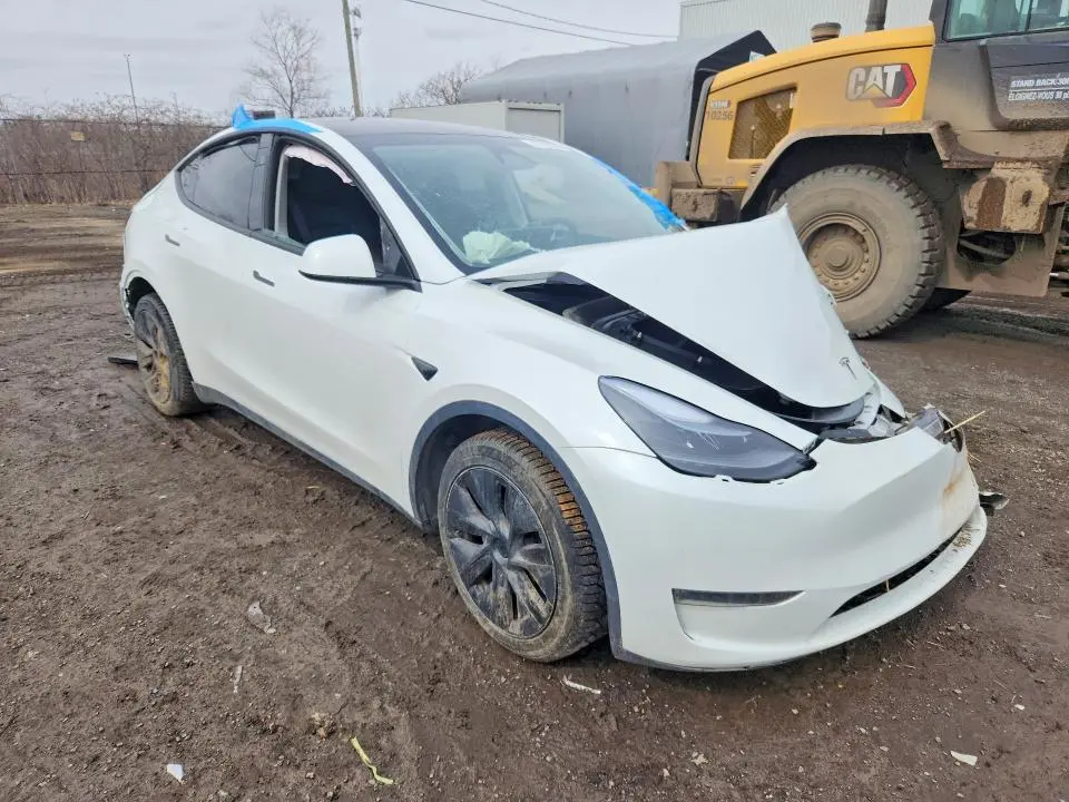 2024 TESLA MODEL Y   