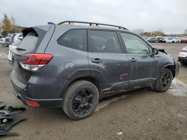 2024 SUBARU FORESTER WILDERNESS  