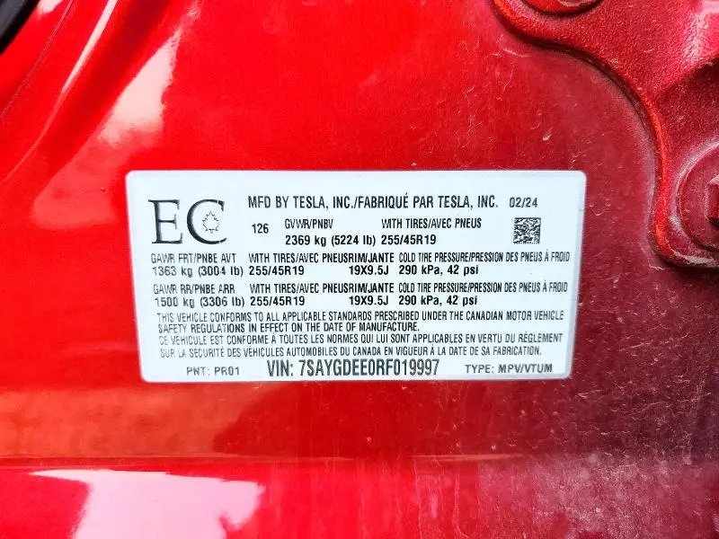 2024 TESLA MODEL Y   