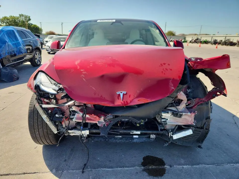 2024 TESLA MODEL Y   