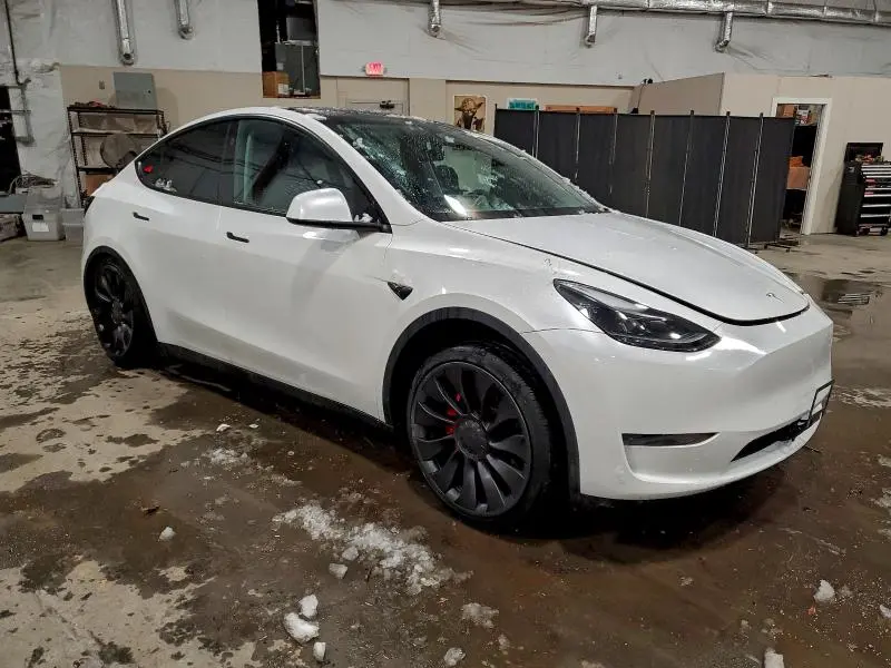 2024 TESLA MODEL Y   
