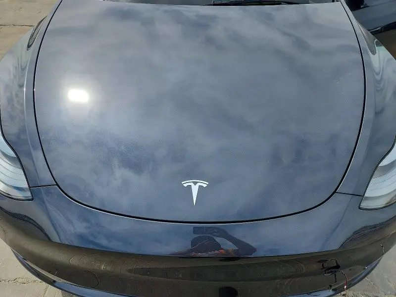 2025 TESLA MODEL Y   