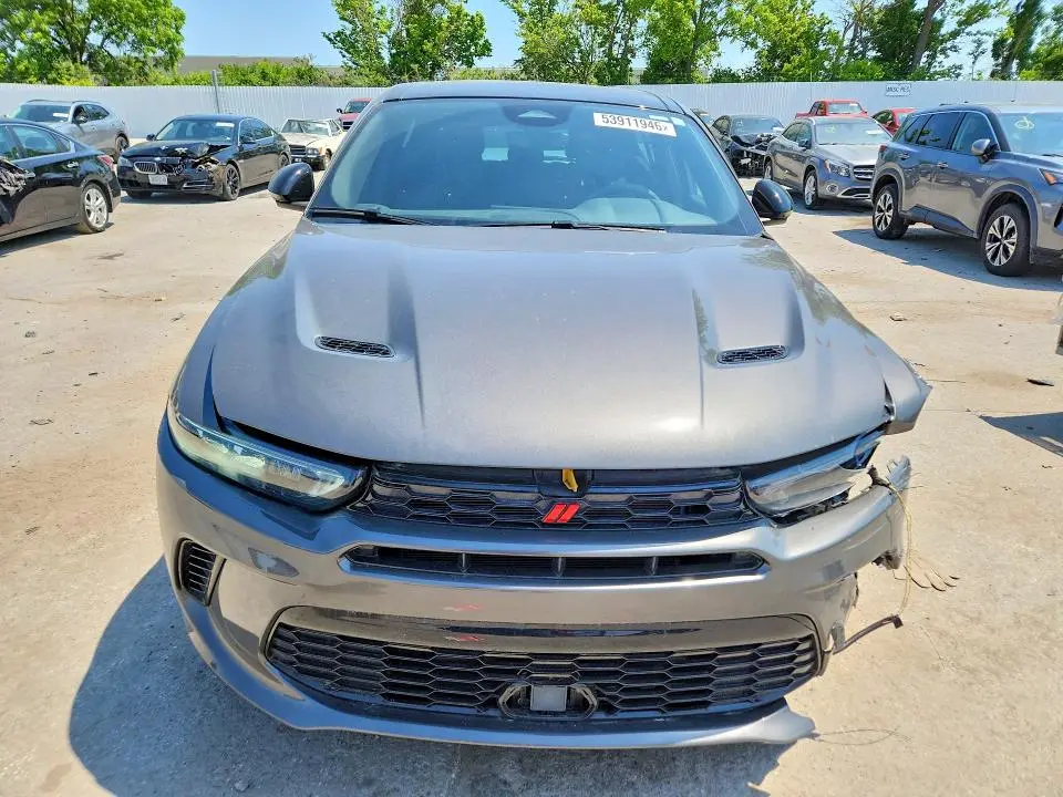2024 DODGE HORNET R  