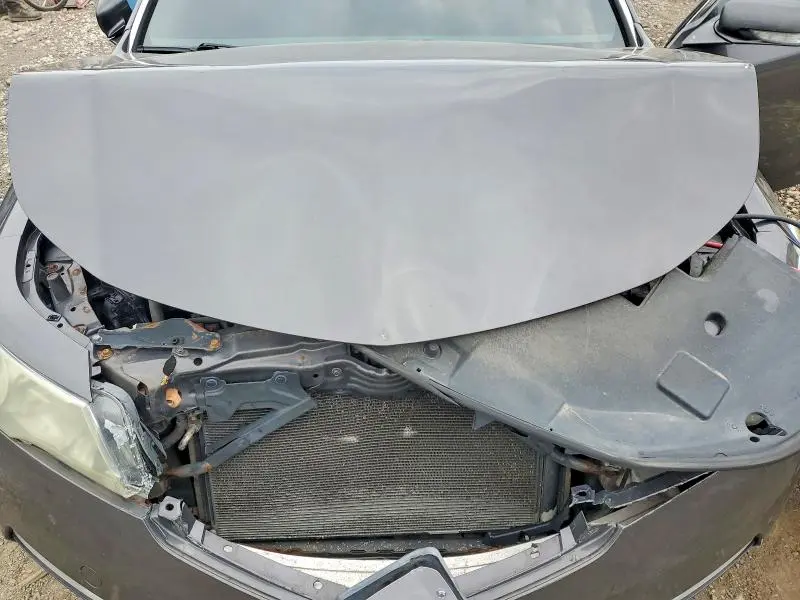 2010 ACURA TL   