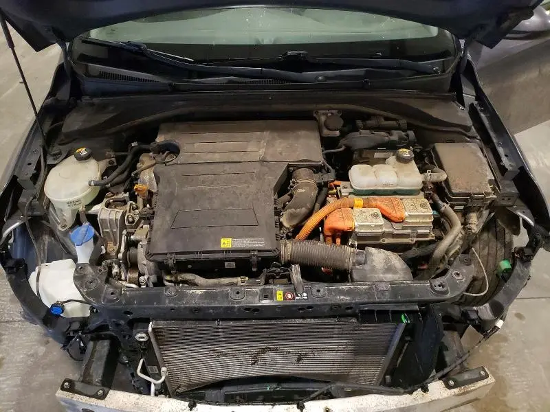2019 HYUNDAI IONIQ BLUE  