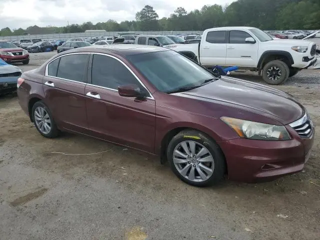 2011 HONDA ACCORD EXL