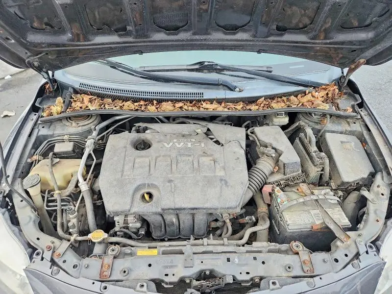 2010 TOYOTA COROLLA S  