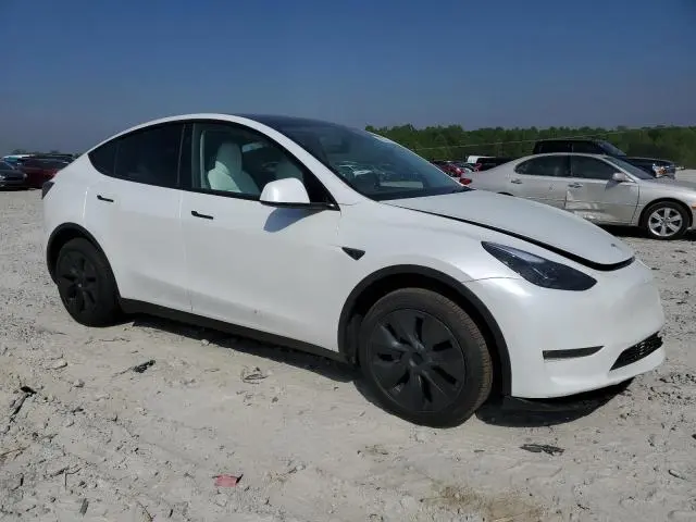 2025 TESLA MODEL Y   