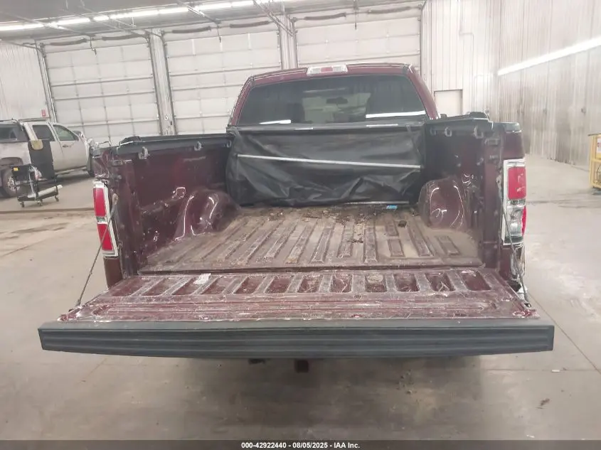 2010 FORD F-150 STX/XL/XLT