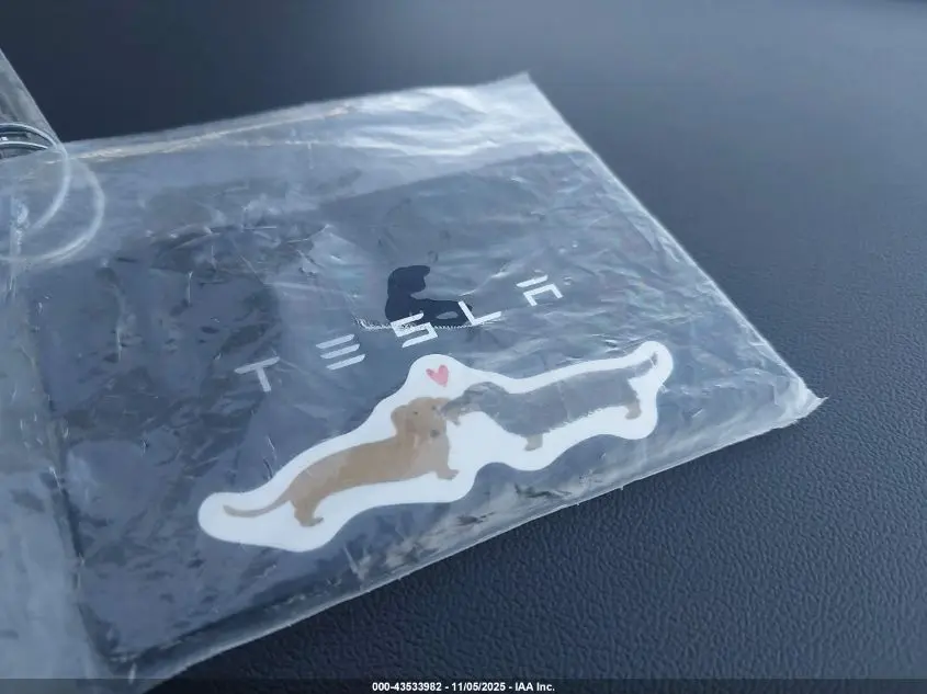 2020 TESLA MODEL Y LONG RANGE DUAL MOTOR ALL-WHEEL DRIVE