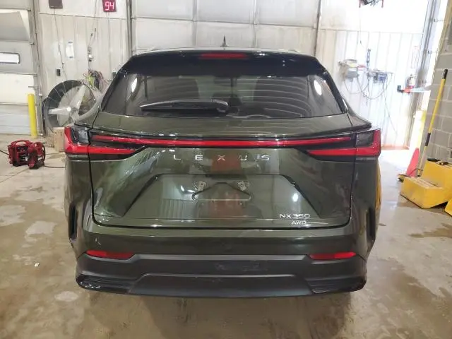 2023 LEXUS NX 350  