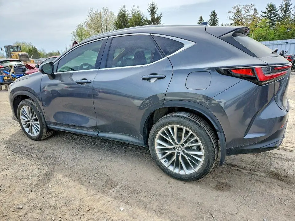 2026 LEXUS NX 350   