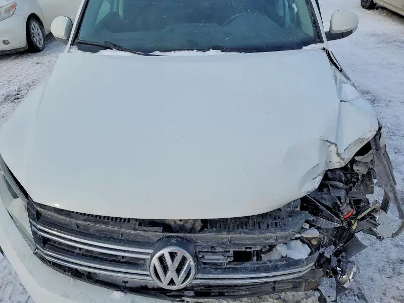 2015 VOLKSWAGEN TIGUAN S  