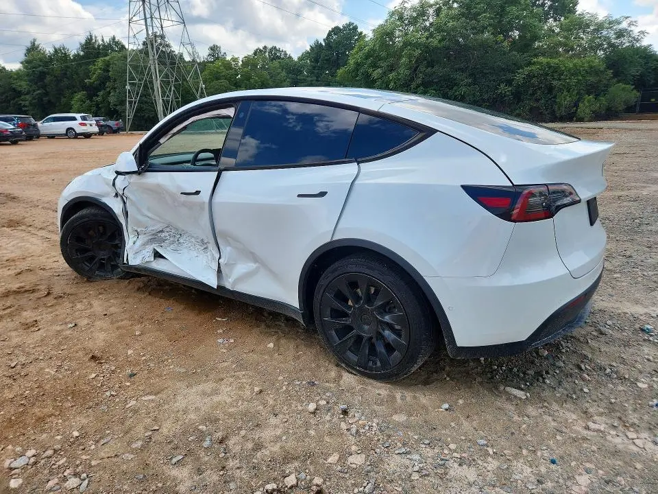 2021 TESLA MODEL Y   