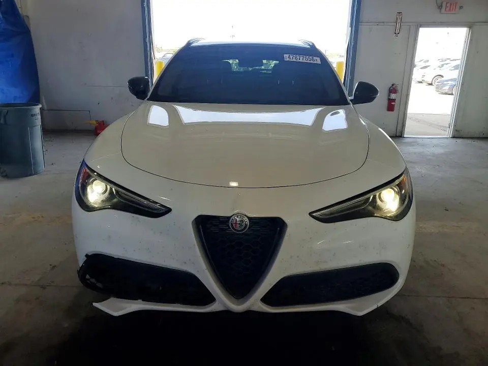 2019 ALFA ROMEO STELVIO   