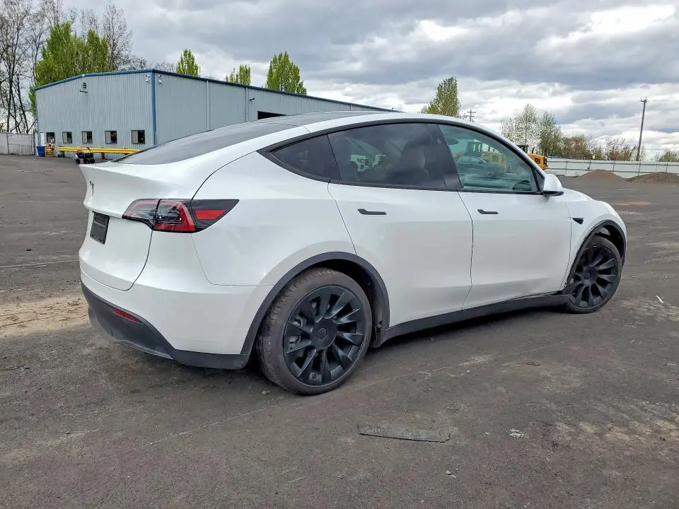 2025 TESLA MODEL Y   