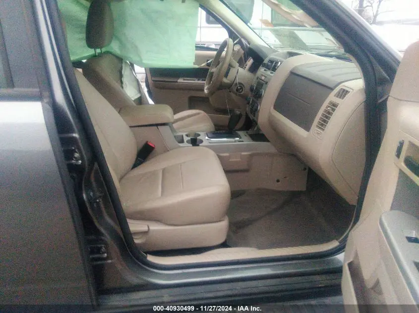 2010 FORD ESCAPE XLT