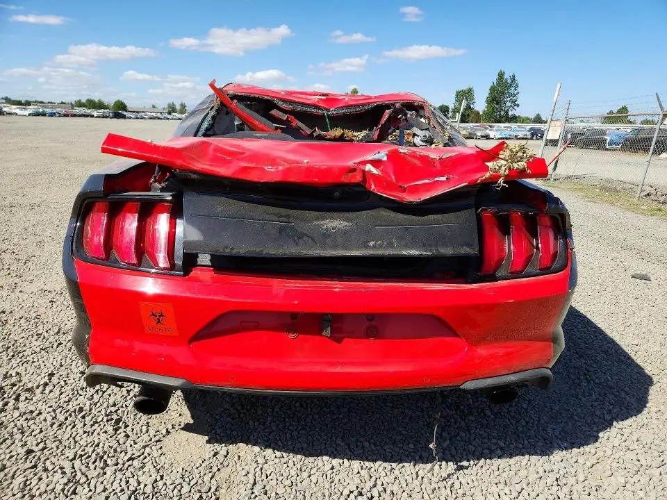 2019 FORD MUSTANG   