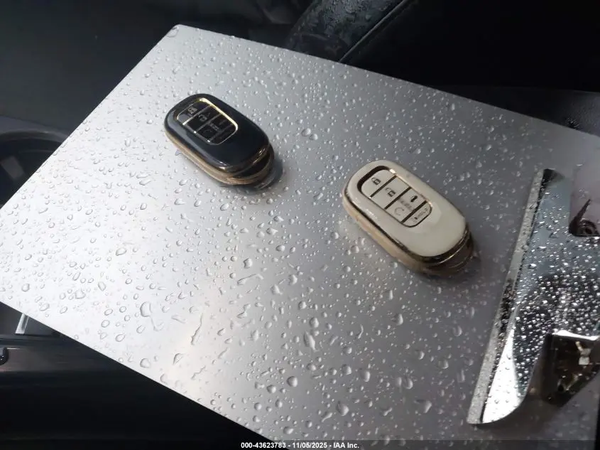 2023 HONDA CIVIC EX-L/EX-L W/O BSI